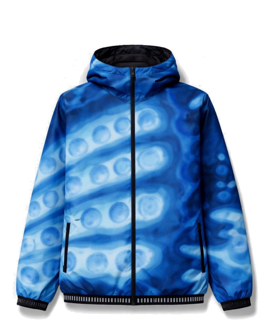 Cortaviento Pulpo Pigmeo